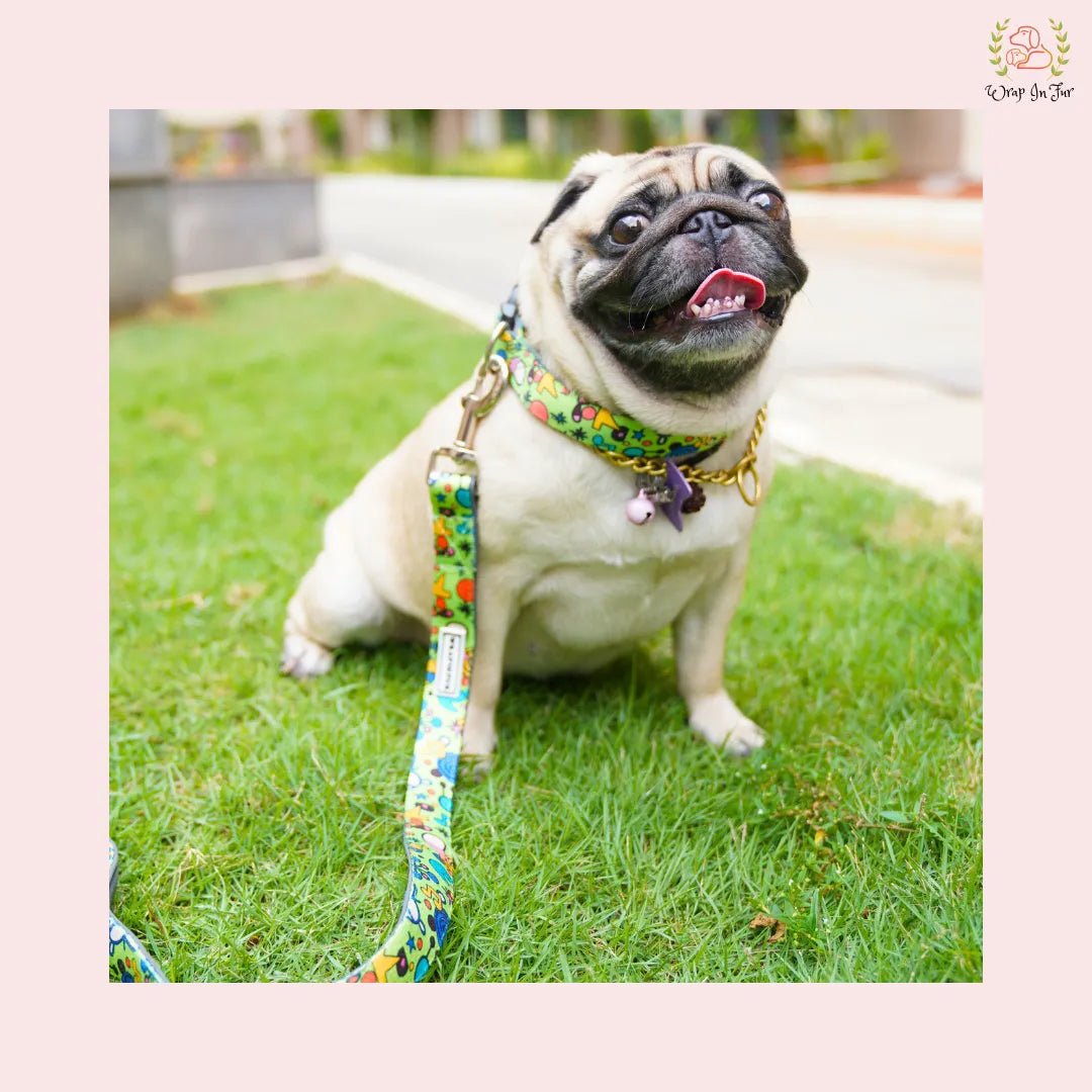 Green Fab Collar and leash