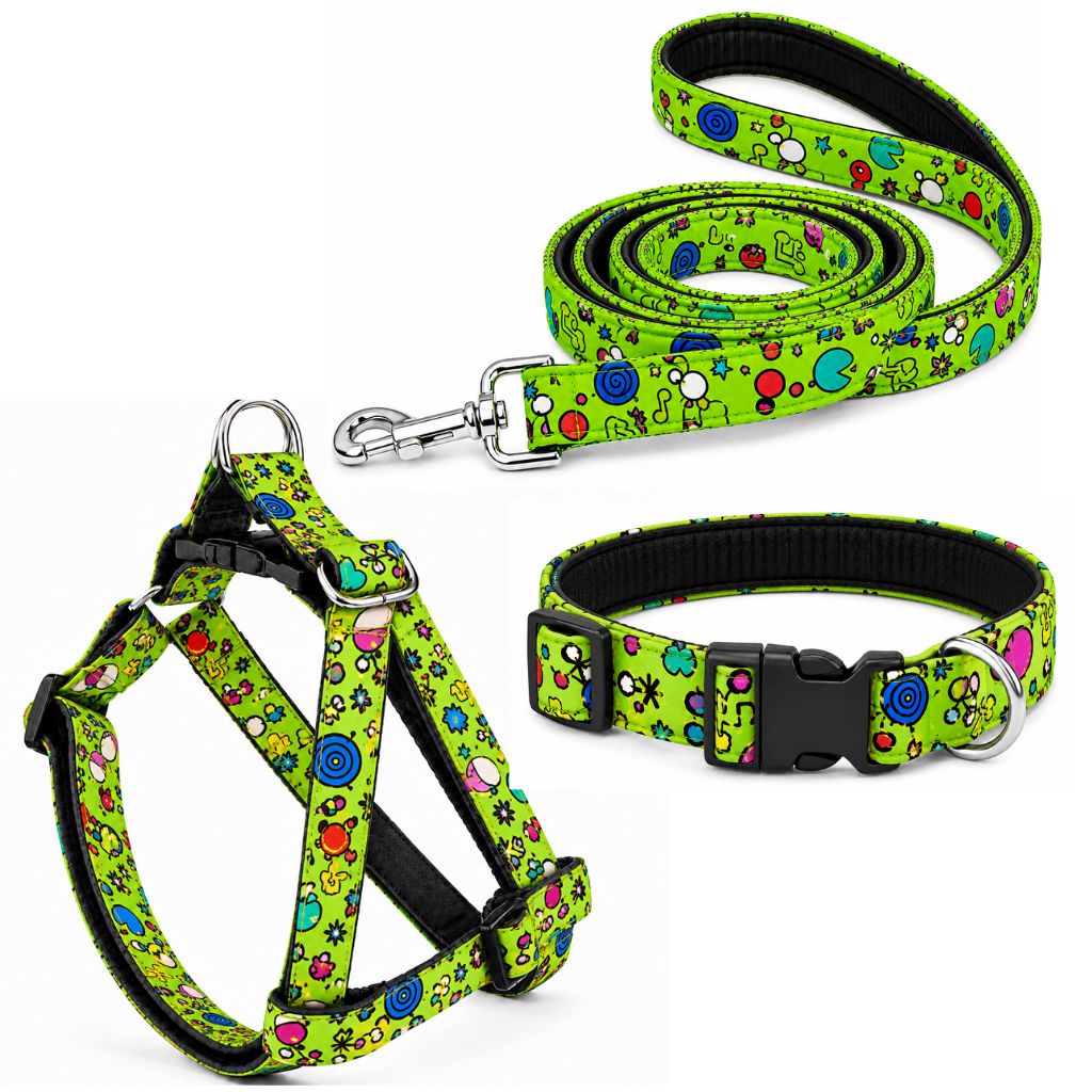 Green Fab Dog Harness With Collar Leash Set