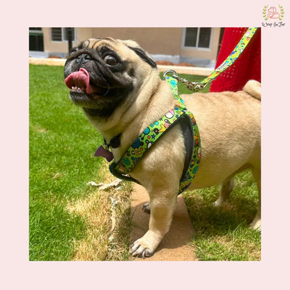Green Fab Dog Harness With Leash