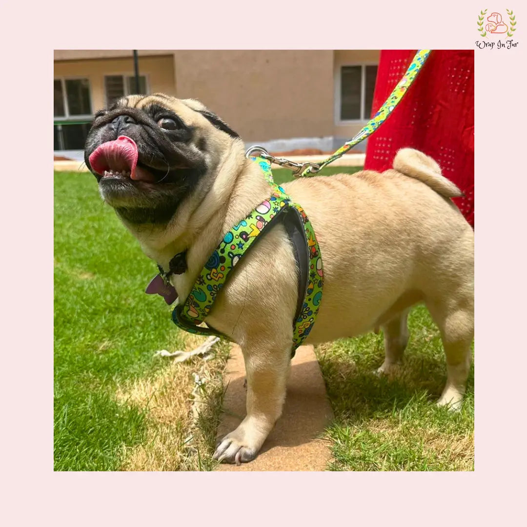 Green Fab Dog Harness With Leash for big dog