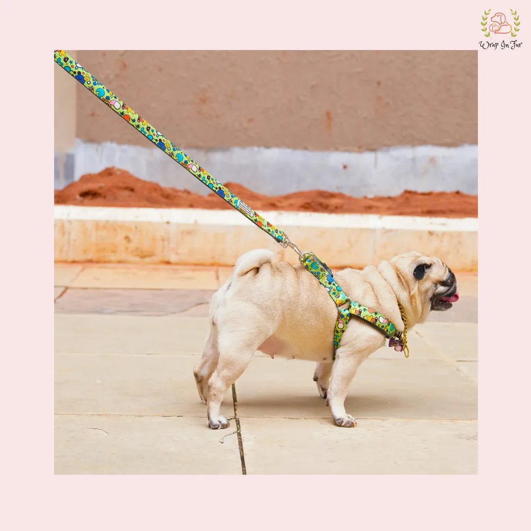 Green Fab Leash for big dog