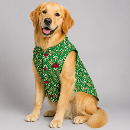Green Patola Dog Sherwani