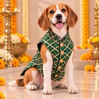 Green Bandhani Dog Sherwani