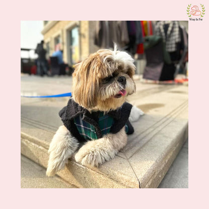 Green Blue Check Dog Jacket – Warm & Stylish Winter Wear