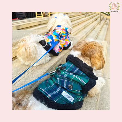 Green Blue Check Dog Jacket – Warm & Stylish Winter Wear