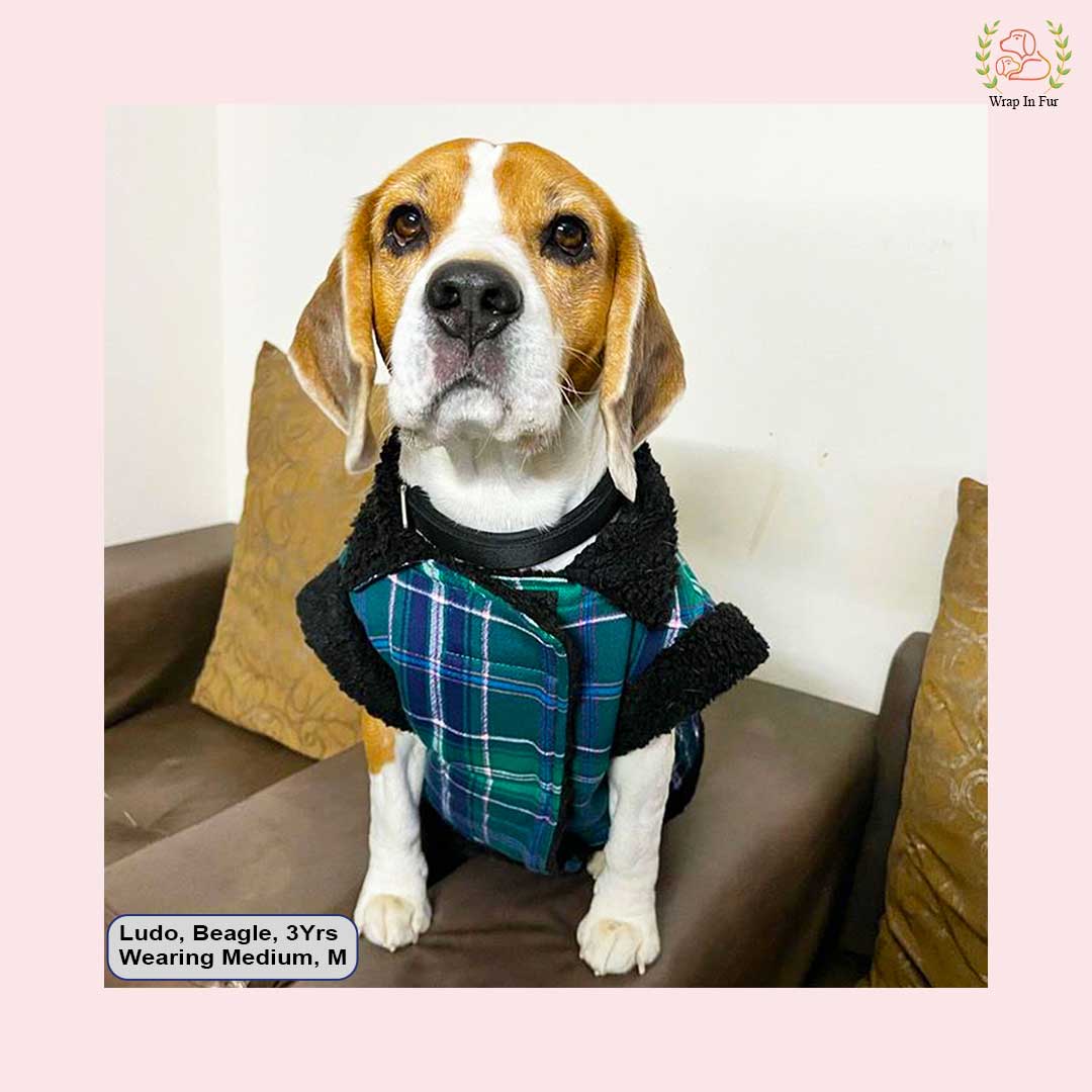 Green Blue Check Dog Jacket – Warm & Stylish Winter Wear