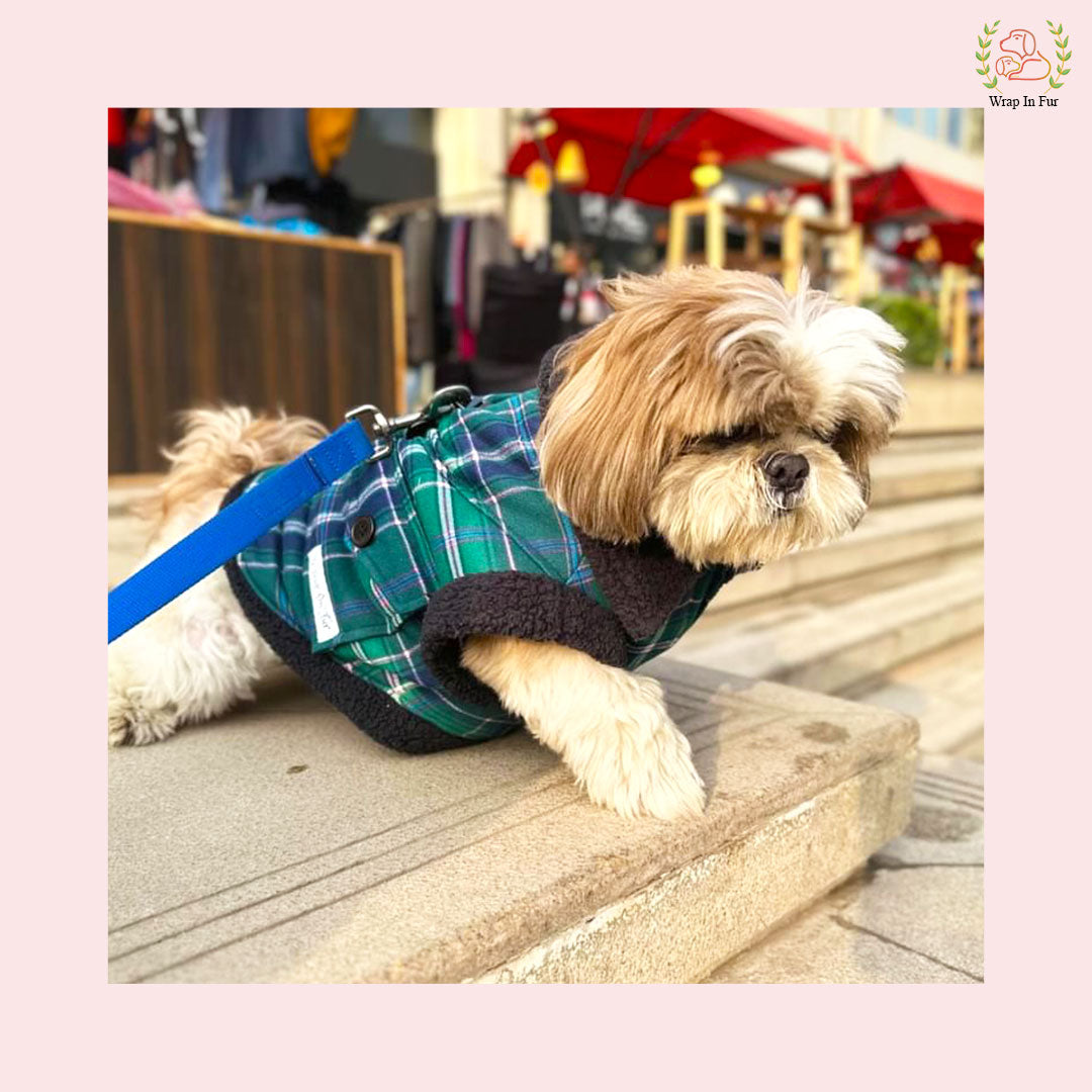 Green Blue Check Dog Jacket – Warm & Stylish Winter Wear