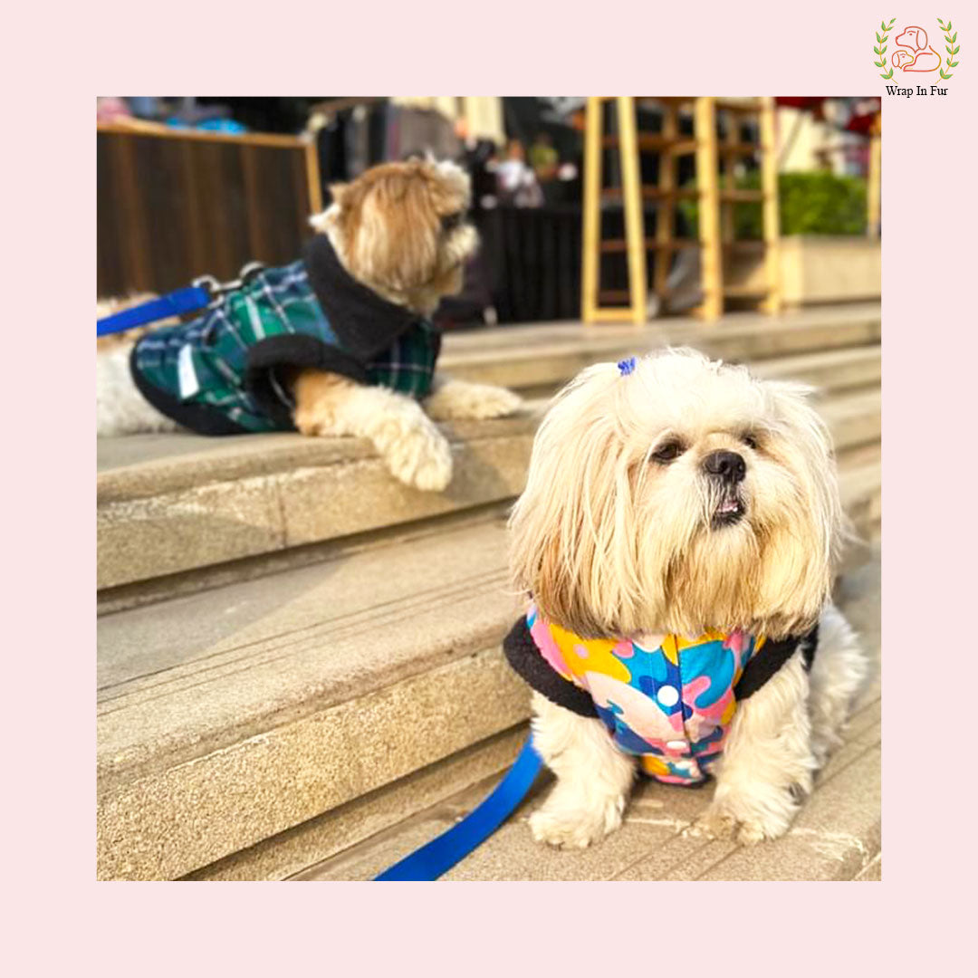 Green Blue Check Dog Jacket – Warm & Stylish Winter Wear
