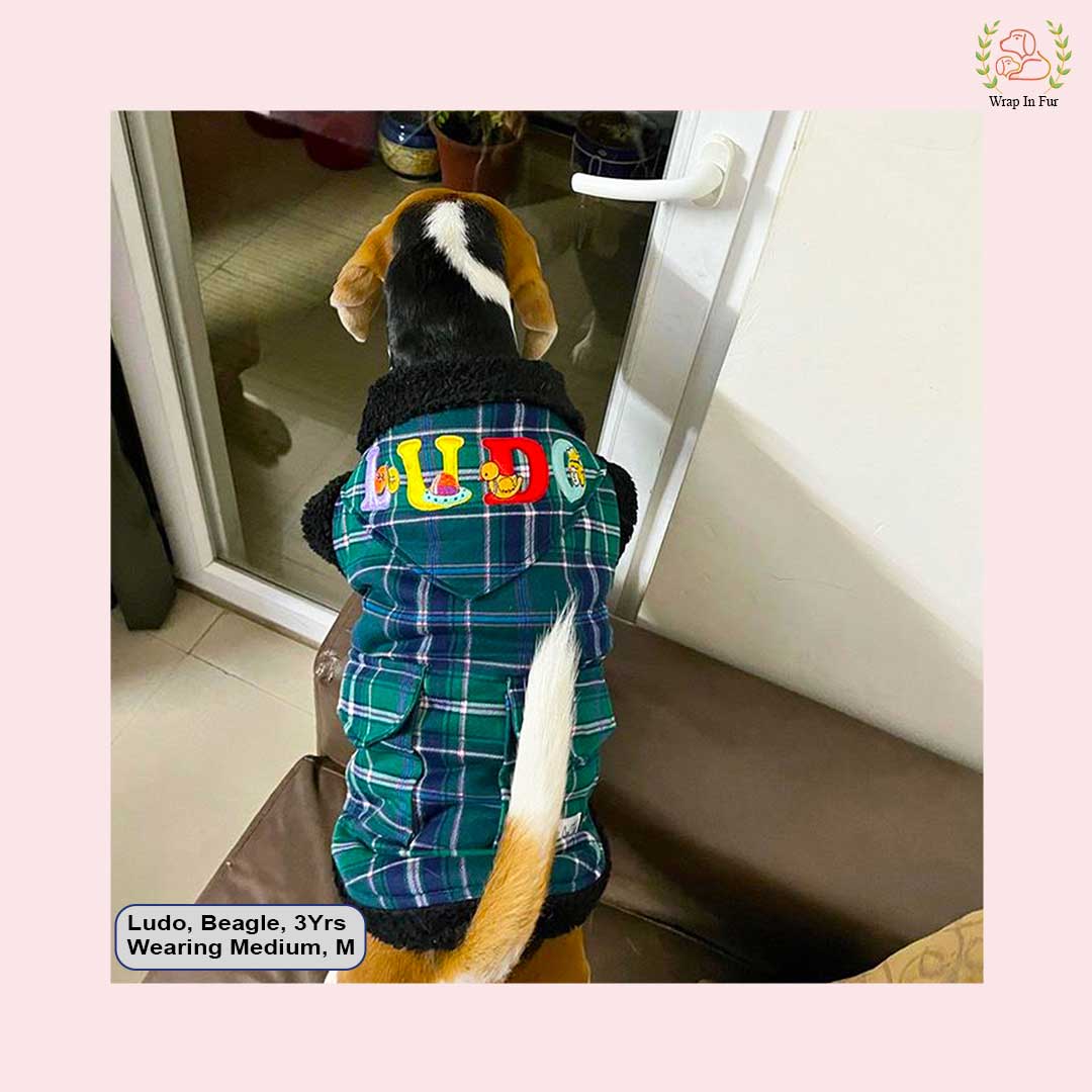 Green Blue Check Dog Jacket – Warm & Stylish Winter Wear