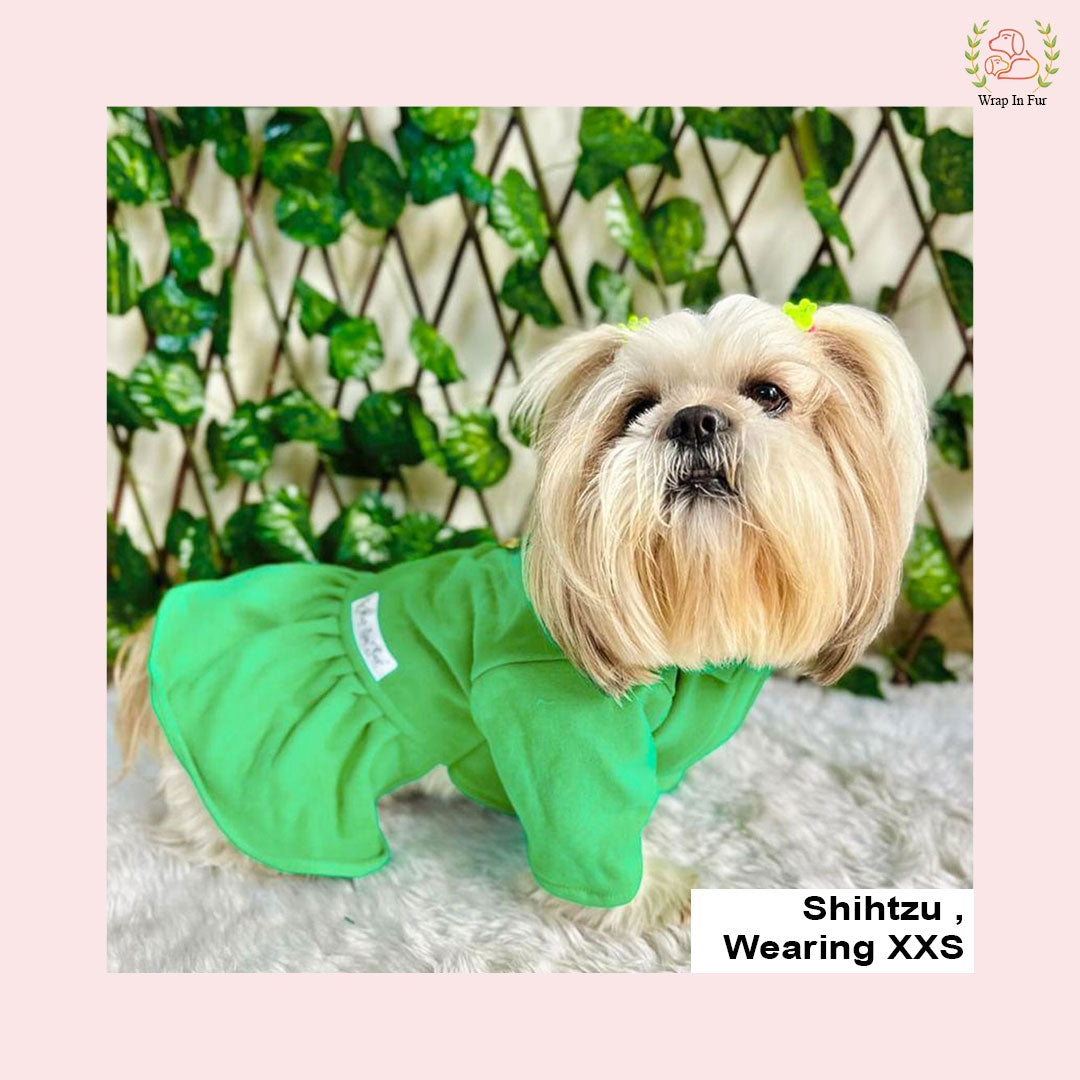 Green Cozy Winter Dog Frock – Soft & Stylish