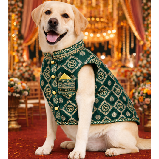 Green Embroidered Dog Sherwani for wedding