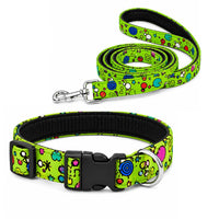 Green Fab Collar and leash