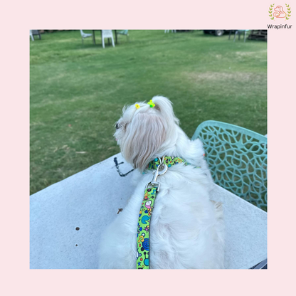 Green Fab Dog Harness with Leash for Small Dog