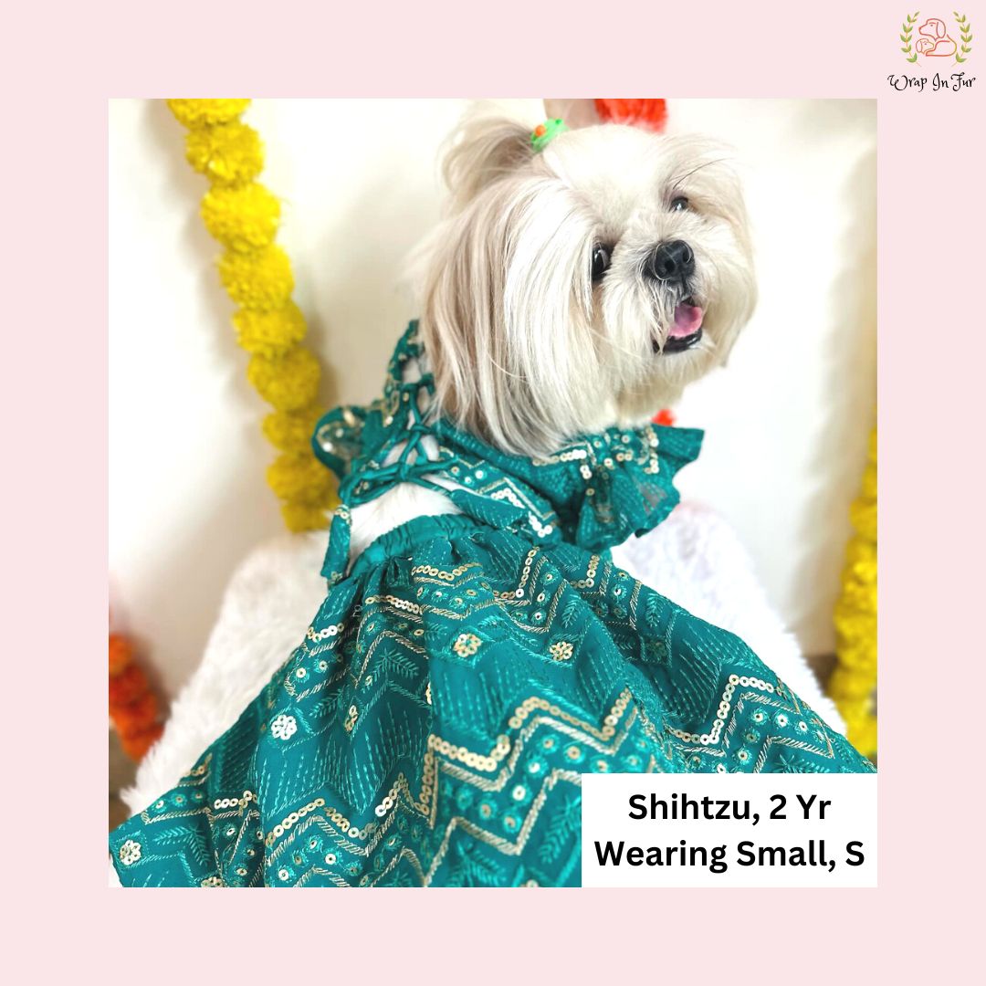 Green Lehenga Choli Dog Bridal Dress for Weddings – Premium Princess Wear