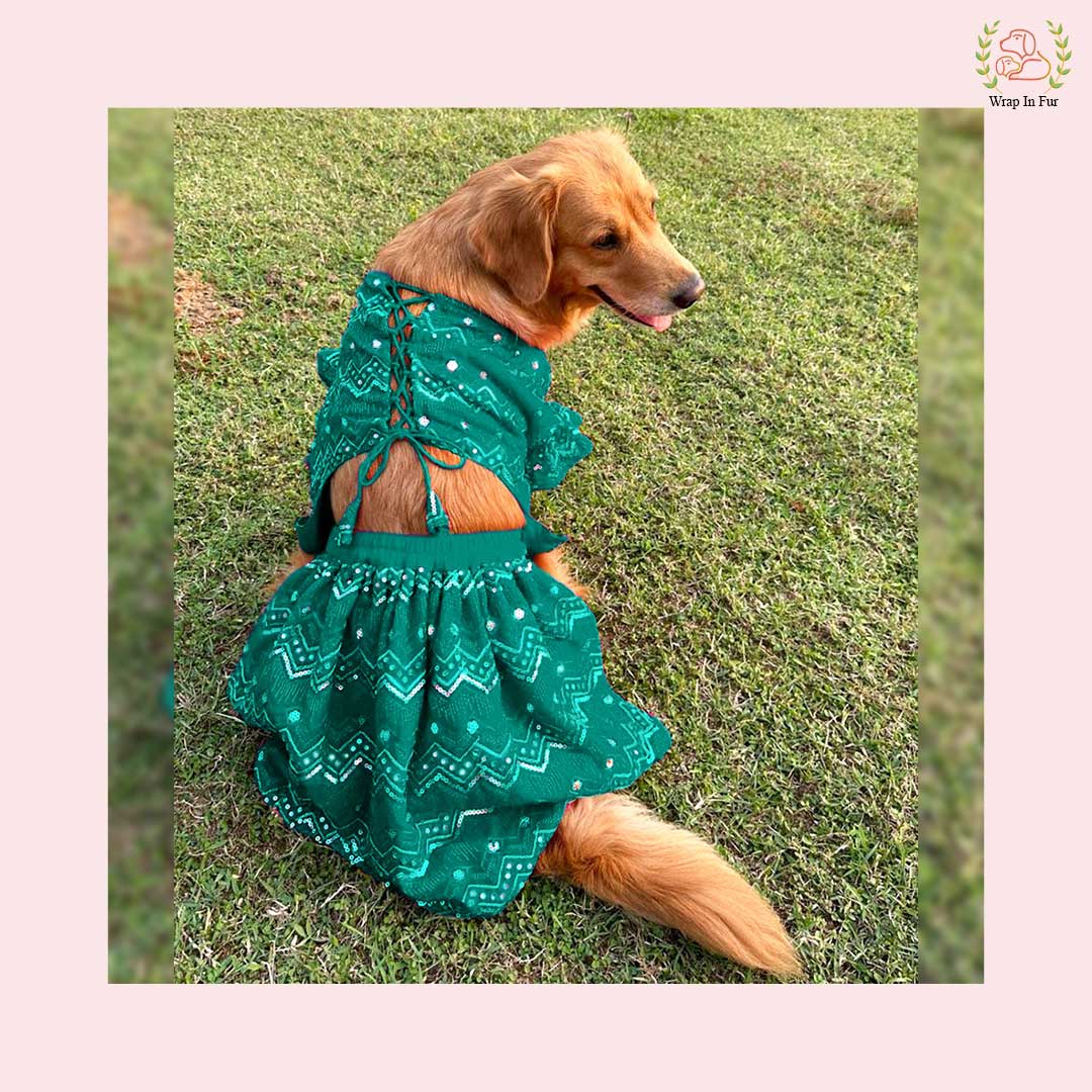 Green Lehenga Choli Dog Bridal Dress for Weddings – Premium Princess Wear