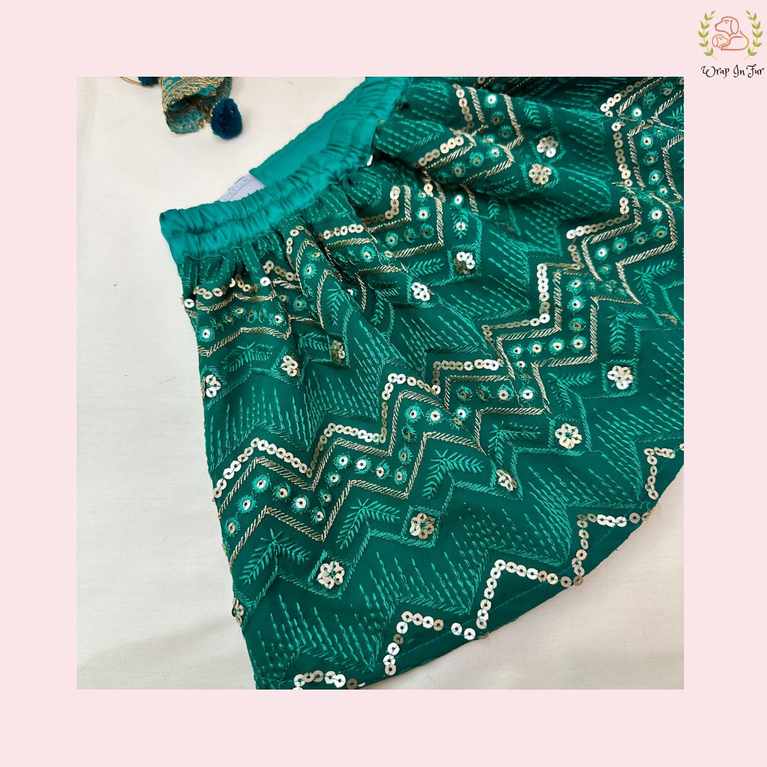 Green Lehenga Choli Dog Bridal Dress for Weddings – Premium Princess Wear