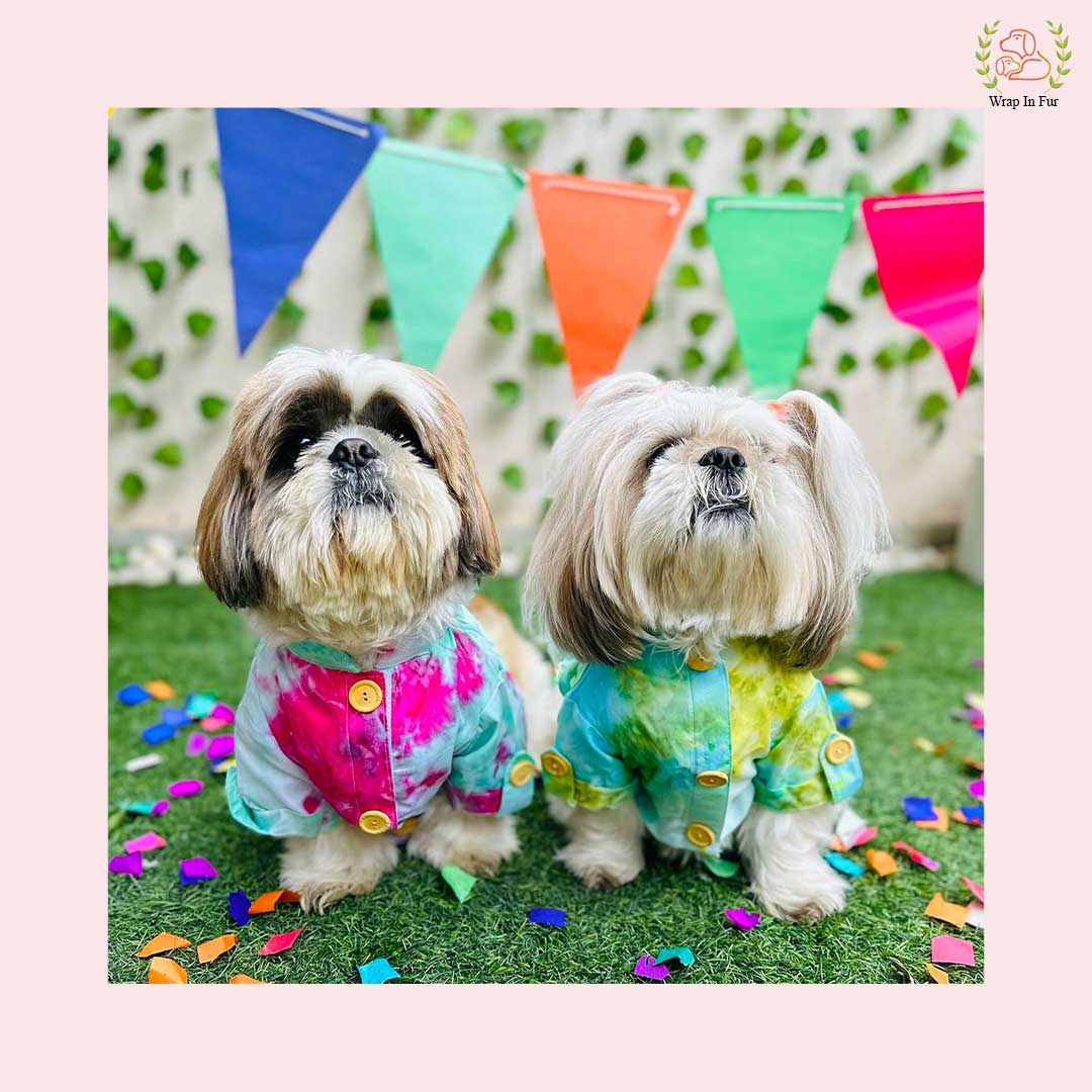 Green Ombre Dog Kurta - Vibrant Tie-Dye Indian Dog Ethnic Wear