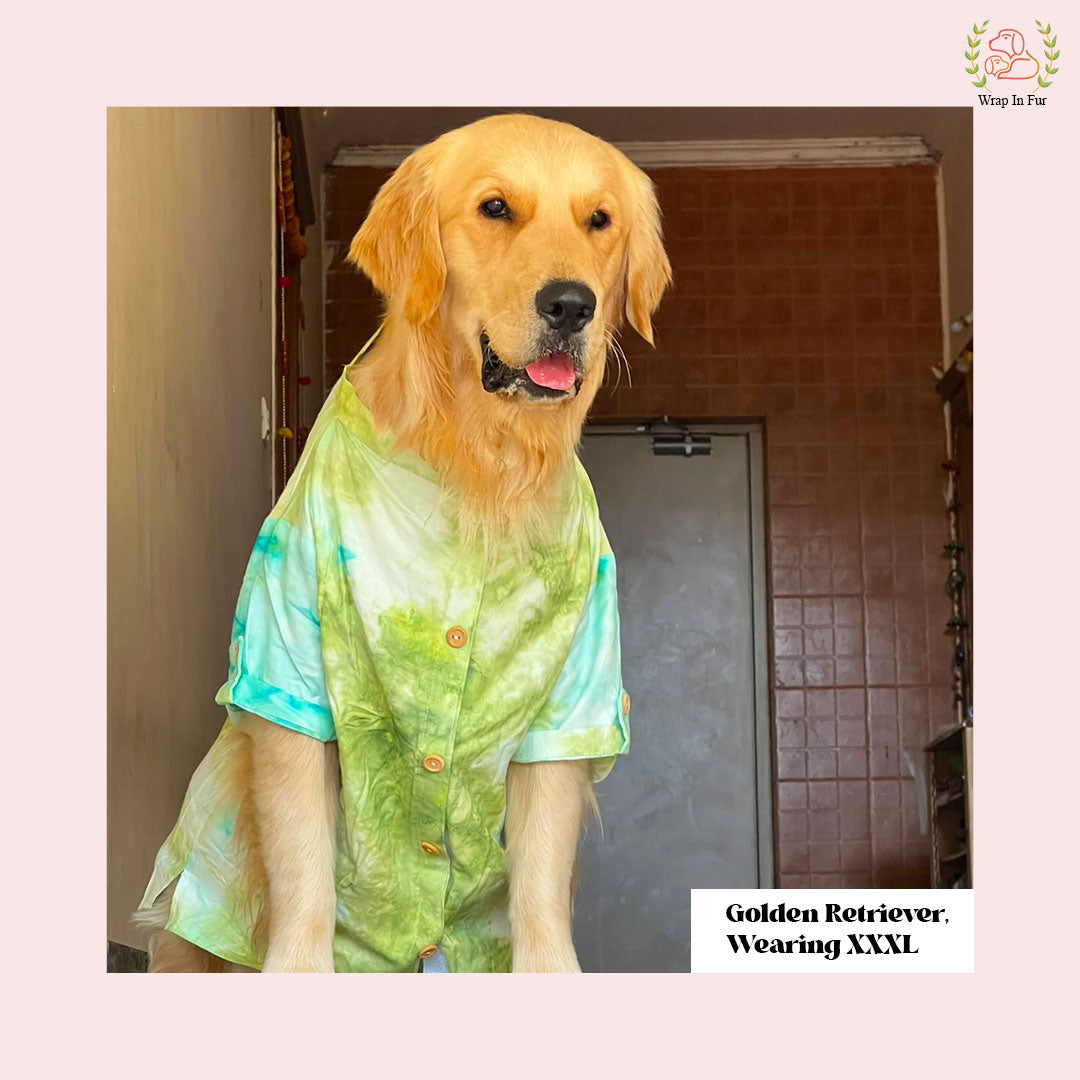 Green Ombre Dog Kurta - Vibrant Tie-Dye Indian Dog Ethnic Wear