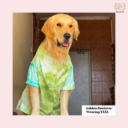 Green Ombre Dog Kurta - Vibrant Tie-Dye Indian Dog Ethnic Wear