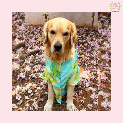 Green Ombre Dog Kurta - Vibrant Tie-Dye Indian Dog Ethnic Wear