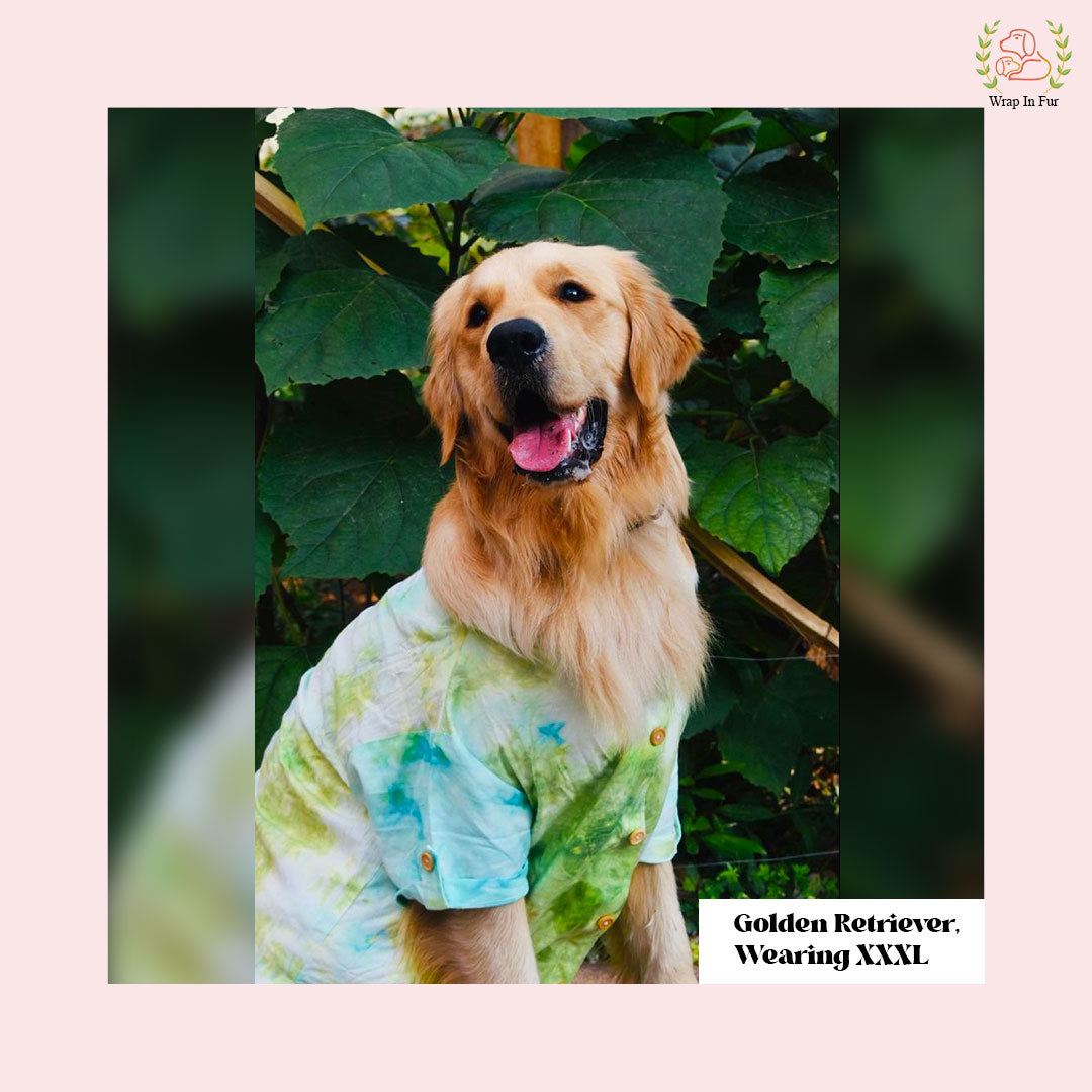 Green Ombre Dog Kurta - Vibrant Tie-Dye Indian Dog Ethnic Wear