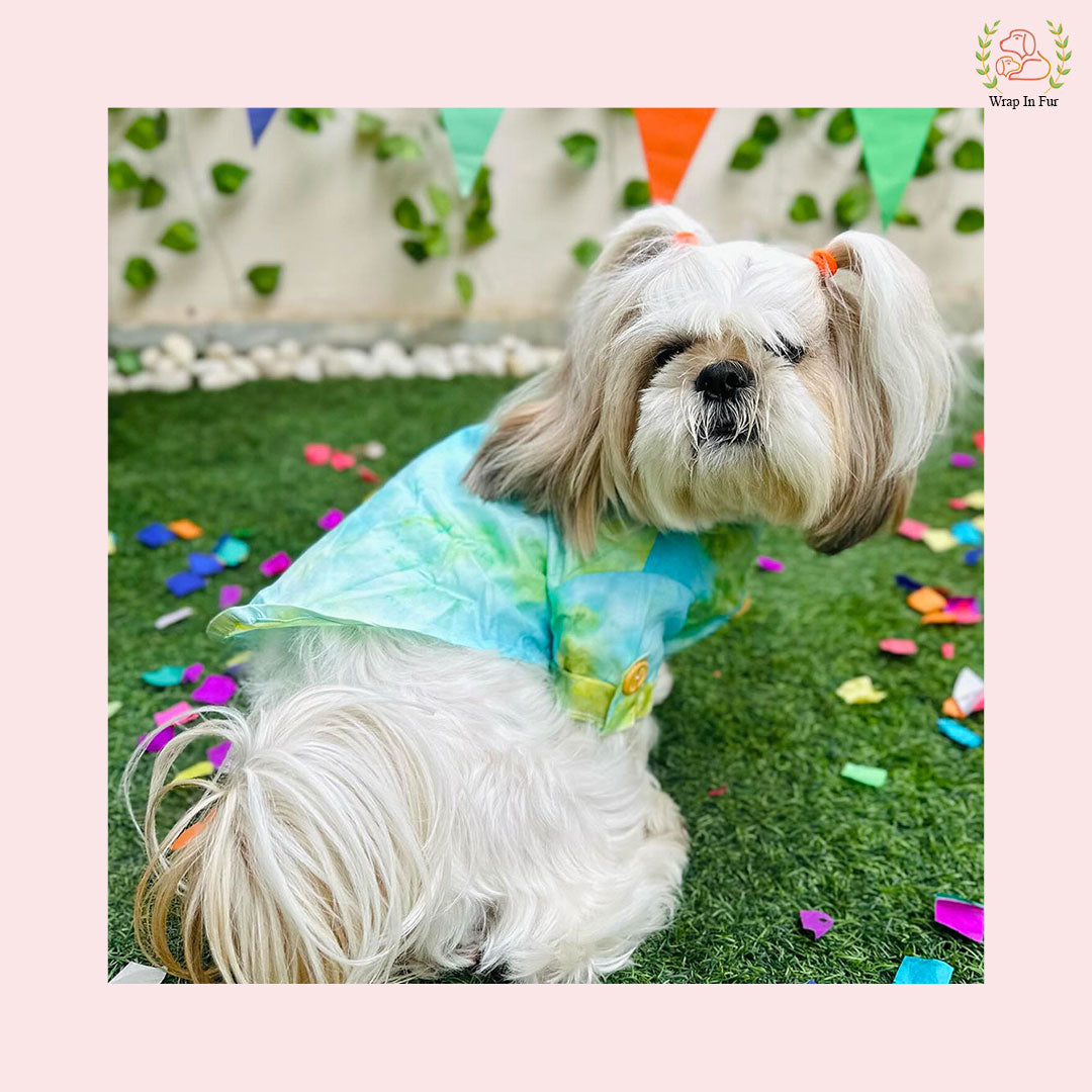 Green Ombre Dog Kurta - Vibrant Tie-Dye Indian Dog Ethnic Wear