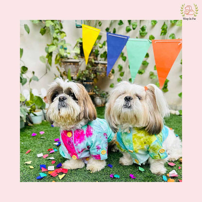 Green Ombre Dog Kurta - Vibrant Tie-Dye Indian Dog Ethnic Wear