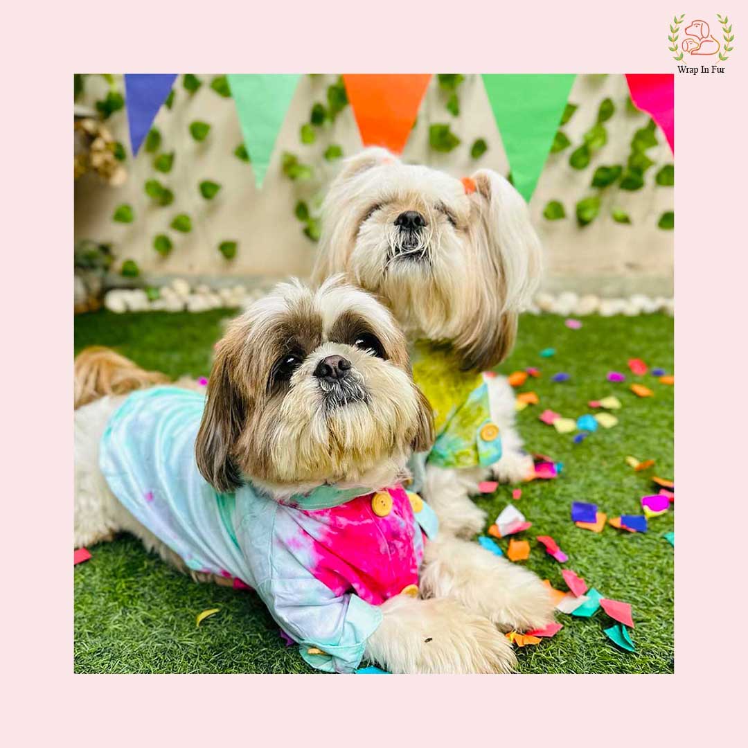 Green Ombre Dog Kurta - Vibrant Tie-Dye Indian Dog Ethnic Wear