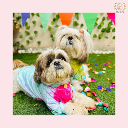 Green Ombre Dog Kurta - Vibrant Tie-Dye Indian Dog Ethnic Wear