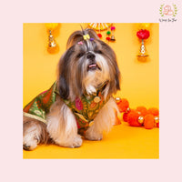 Green Patakha Wedding Dog Sherwani – Premium Ethnic Wear for Weddings & Celebrations