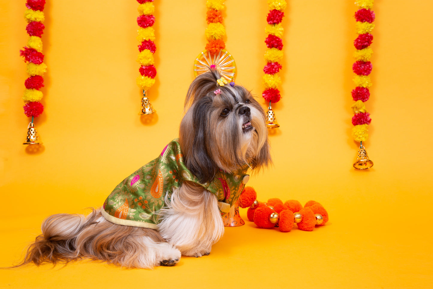 Green Patakha Wedding Dog Sherwani – Premium Ethnic Wear for Weddings & Celebrations 