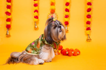 Green Patakha Wedding Dog Sherwani – Premium Ethnic Wear for Weddings & Celebrations 