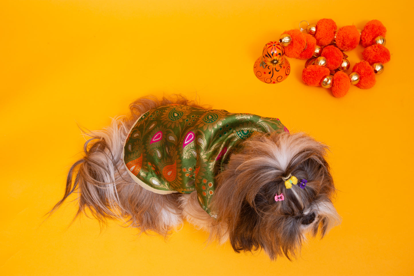 Green Patakha Wedding Dog Sherwani – Premium Ethnic Wear for Weddings & Celebrations