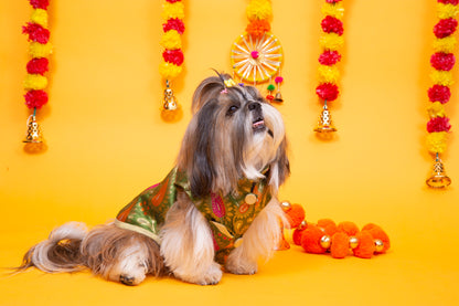 Green Patakha Wedding Dog Sherwani – Premium Ethnic Wear for Weddings & Celebrations