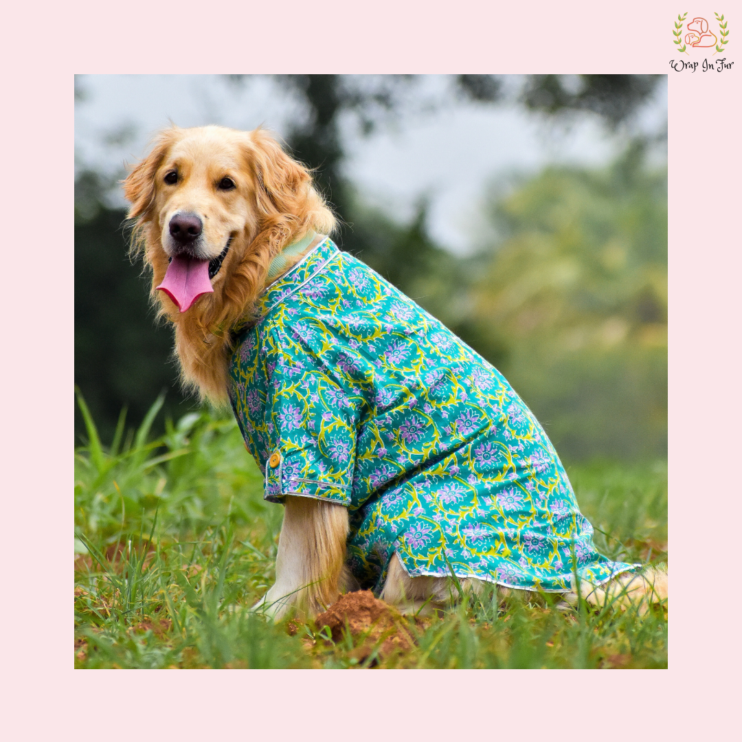 Green & Purple Floral Dog Kurta - Traditional Indian Dog Ethnic Wear Dress
