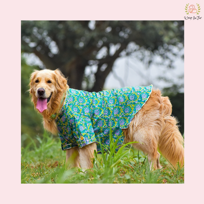 Green & Purple Floral Dog Kurta - Traditional Indian Dog Ethnic Wear Dress