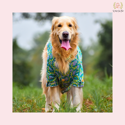 Green & Purple Floral Dog Kurta - Traditional Indian Dog Ethnic Wear Dress