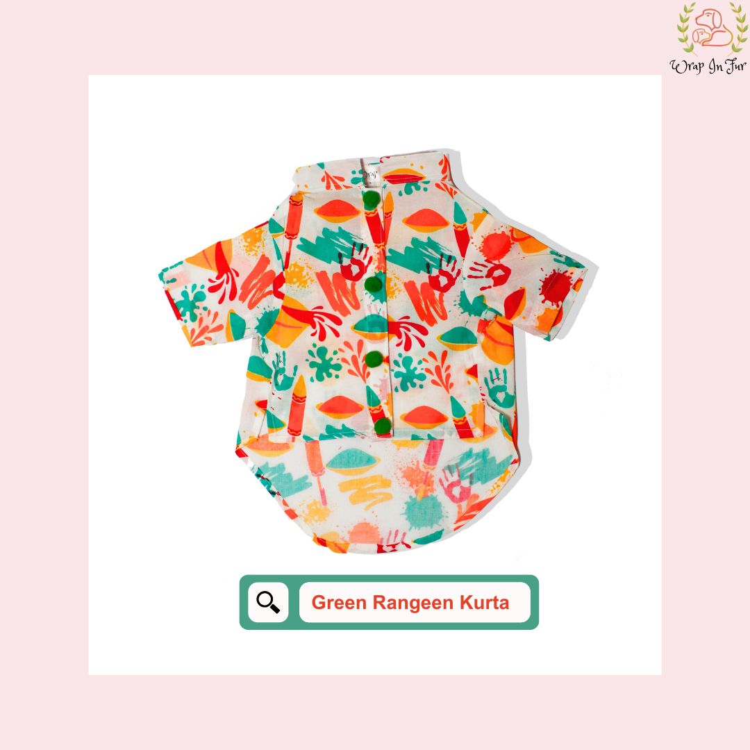 Green Rangeen Dog Kurta - Colorful Indian Dog Ethnic Wear Dress