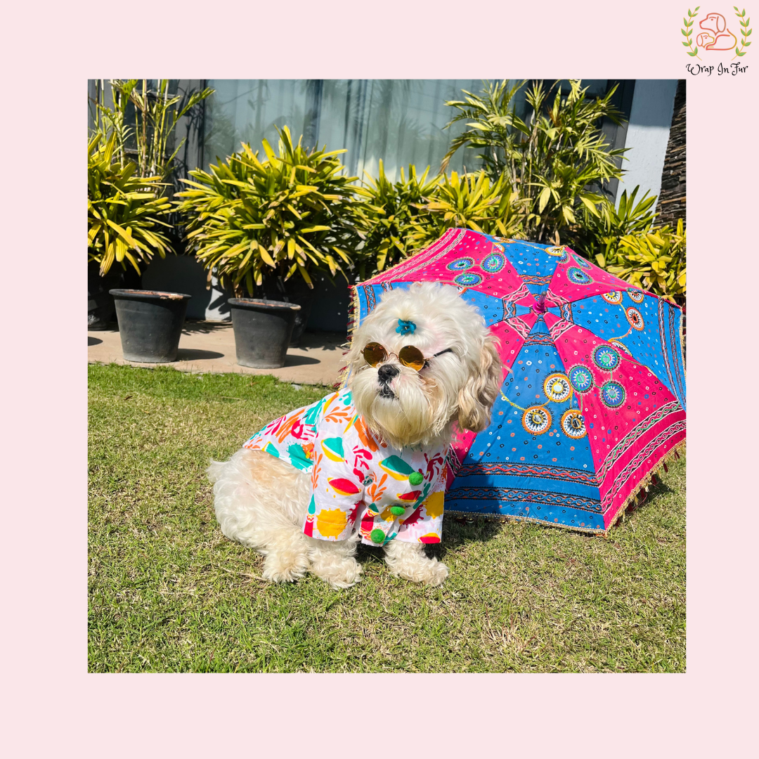 Green Rangeen Dog Kurta - Colorful Indian Dog Ethnic Wear Dress