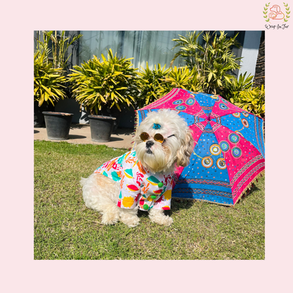 Green Rangeen Dog Kurta - Colorful Indian Dog Ethnic Wear Dress