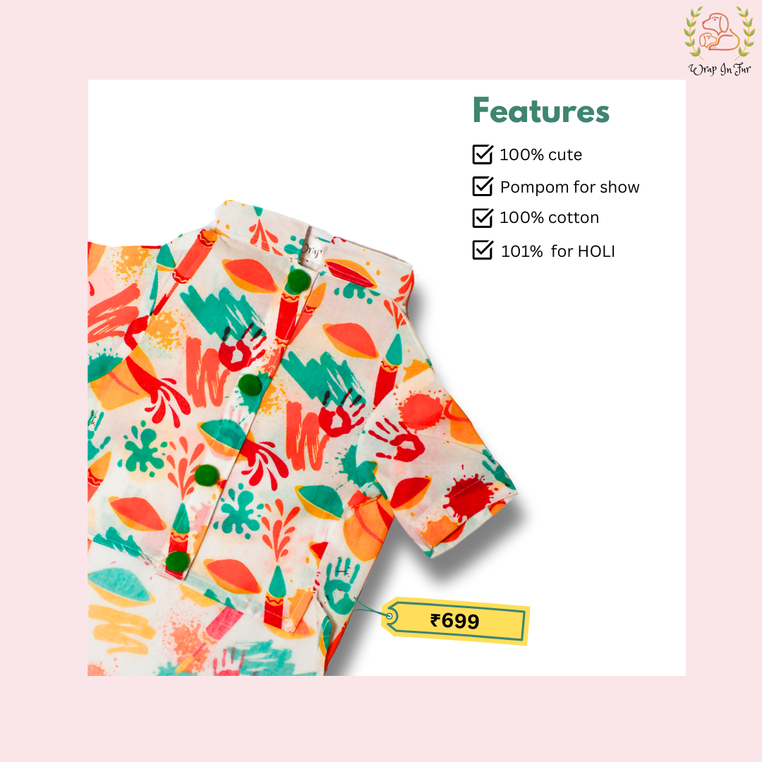 Green Rangeen Dog Kurta - Colorful Indian Dog Ethnic Wear Dress