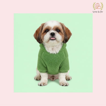 Green Teddy Dog Hoodie – Ultra Soft Winter Wear for Dogs