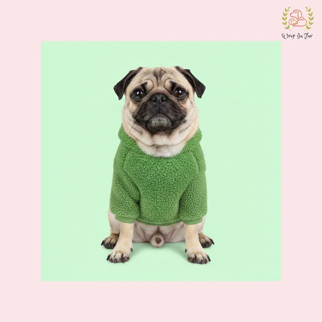 Green Teddy Dog Hoodie – Ultra Soft Winter Wear for Dogs