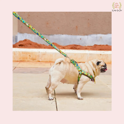 Green Fab Harness With Leash