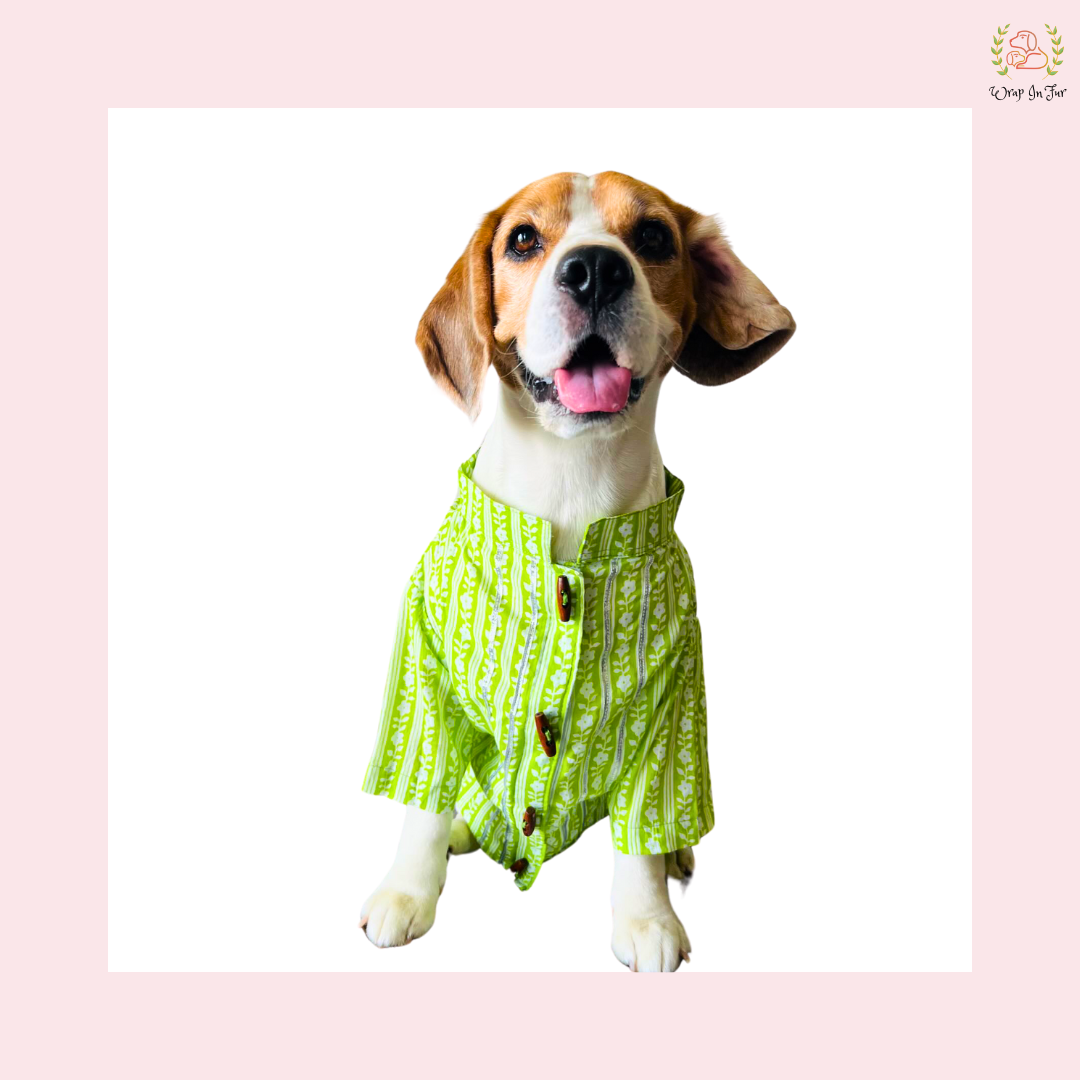 Green Gota Dog Kurta