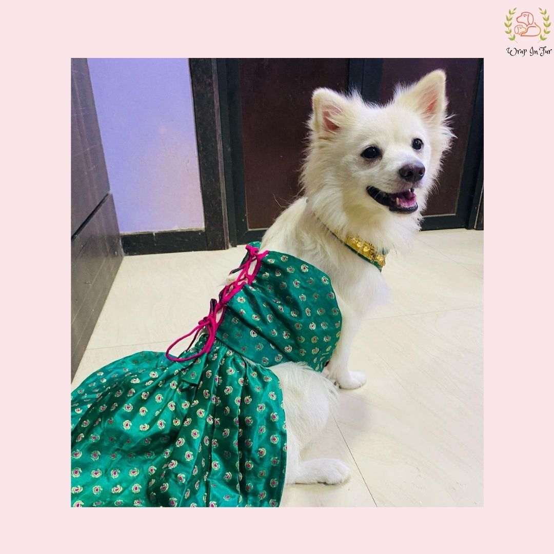 Green top dog dress