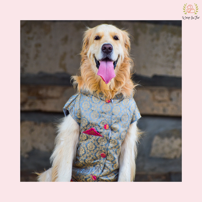 Grey Dog Sherwani