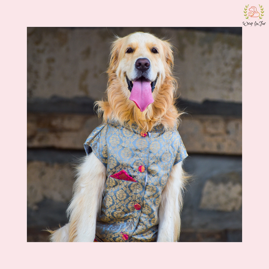 Grey Dog Sherwani