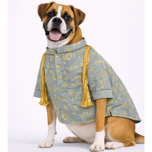 Grey Embroidered Dog Kurta 