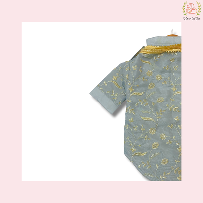 Grey Embroidered Dog Kurta - Royal Indian Dog Ethnic Wear Dress